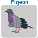 PigeonTheCoolestFan's icon