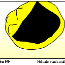 Yellowfacecampgames's icon
