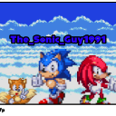 The_Sonic_Guy1991's icon