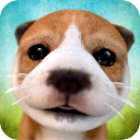 Dog_Simulator_2015's icon