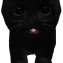 Black_Cat's icon