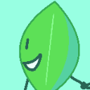 leafyFanStar's icon