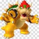 Bowser's icon