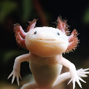 ThunderAxolotl's icon