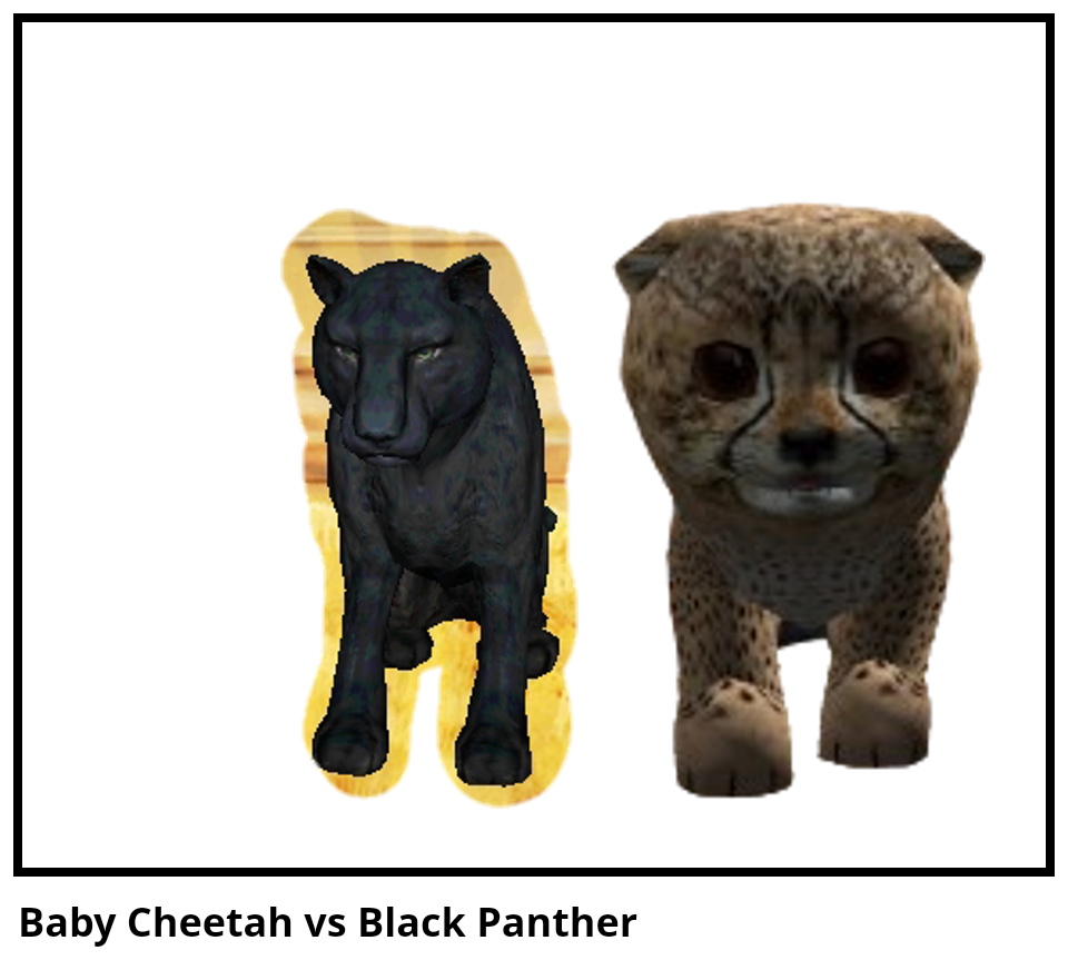 Baby Cheetah vs Black Panther