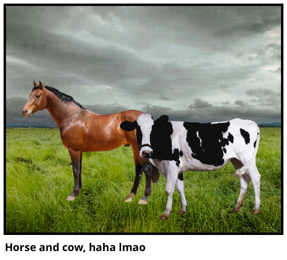 Horse and cow, haha lmao