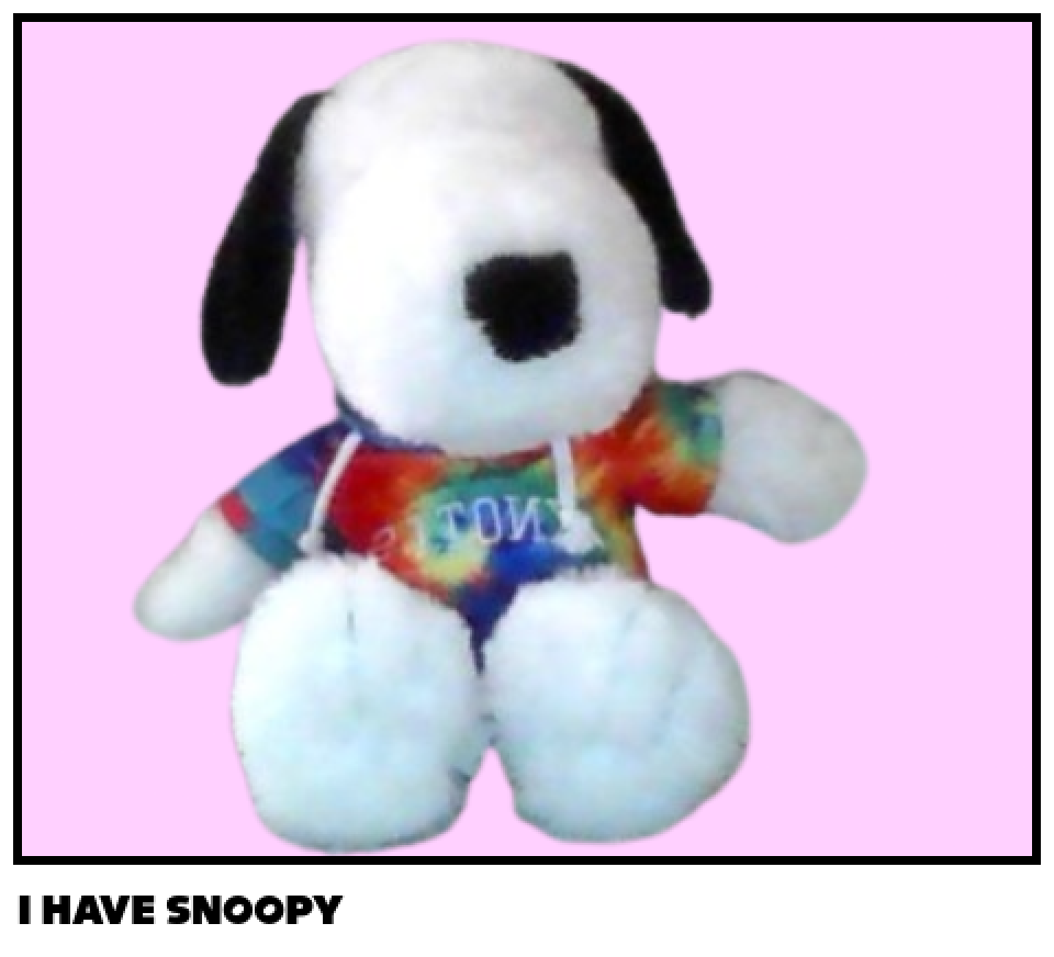 I HAVE SNOOPY
