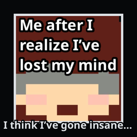 I think I’ve gone insane…