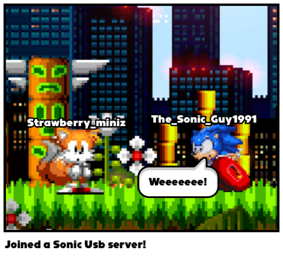 Joined a Sonic Usb server!
