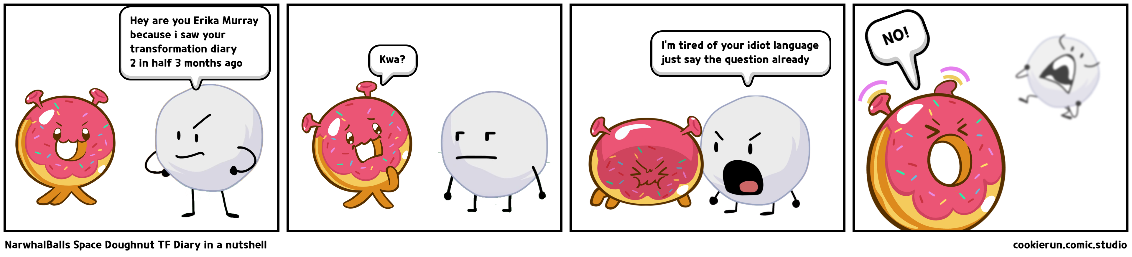 NarwhalBalls Space Doughnut TF Diary in a nutshell