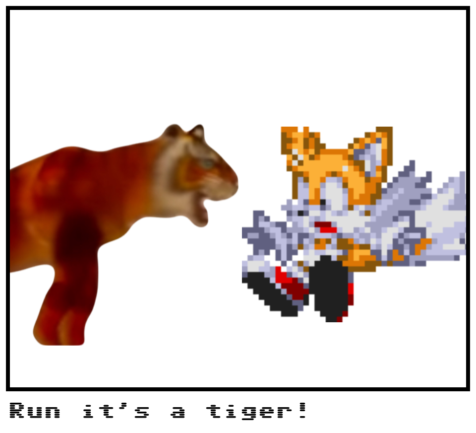 Run it’s a tiger!