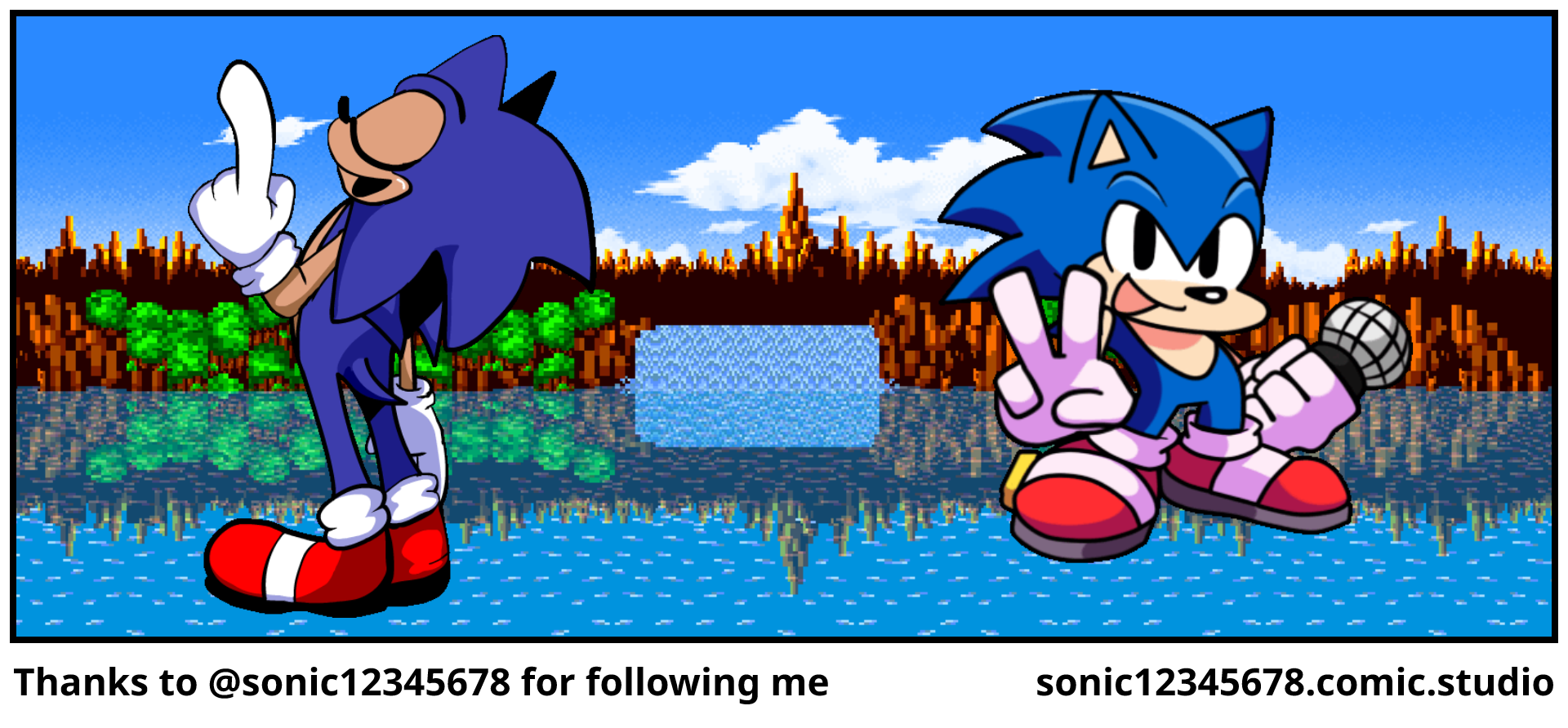 Thanks to @sonic12345678 for following me