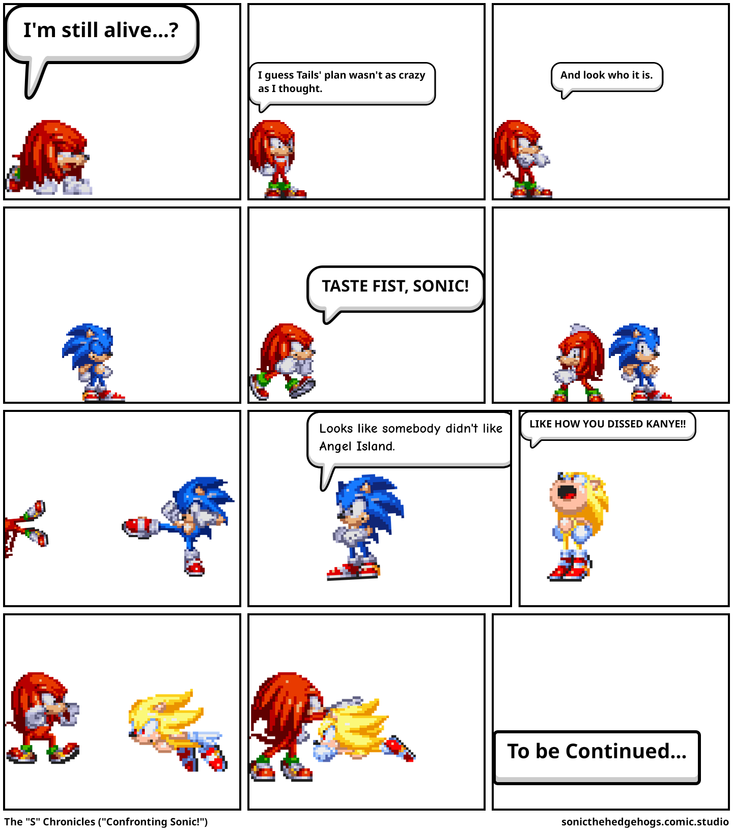 The "S" Chronicles ("Confronting Sonic!")