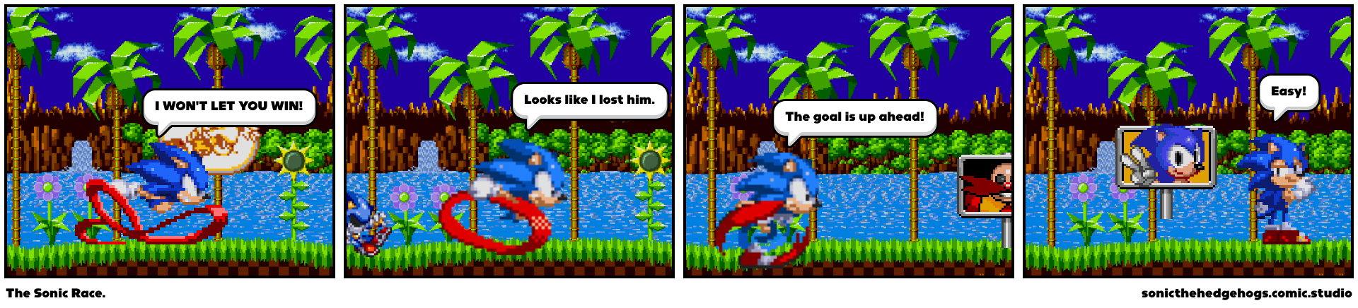 The Sonic Race.