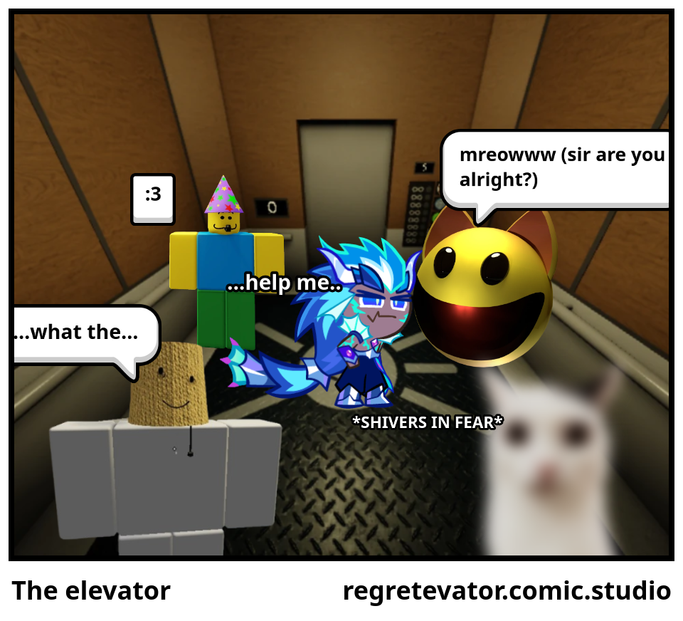The elevator