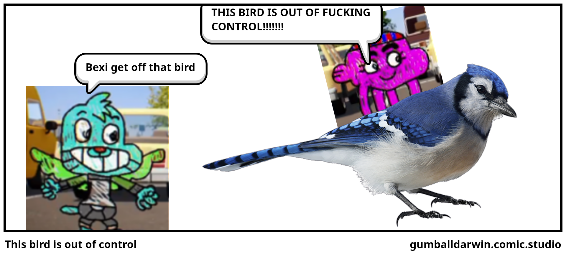 This bird is out of control