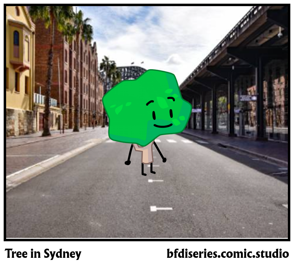 Tree in Sydney