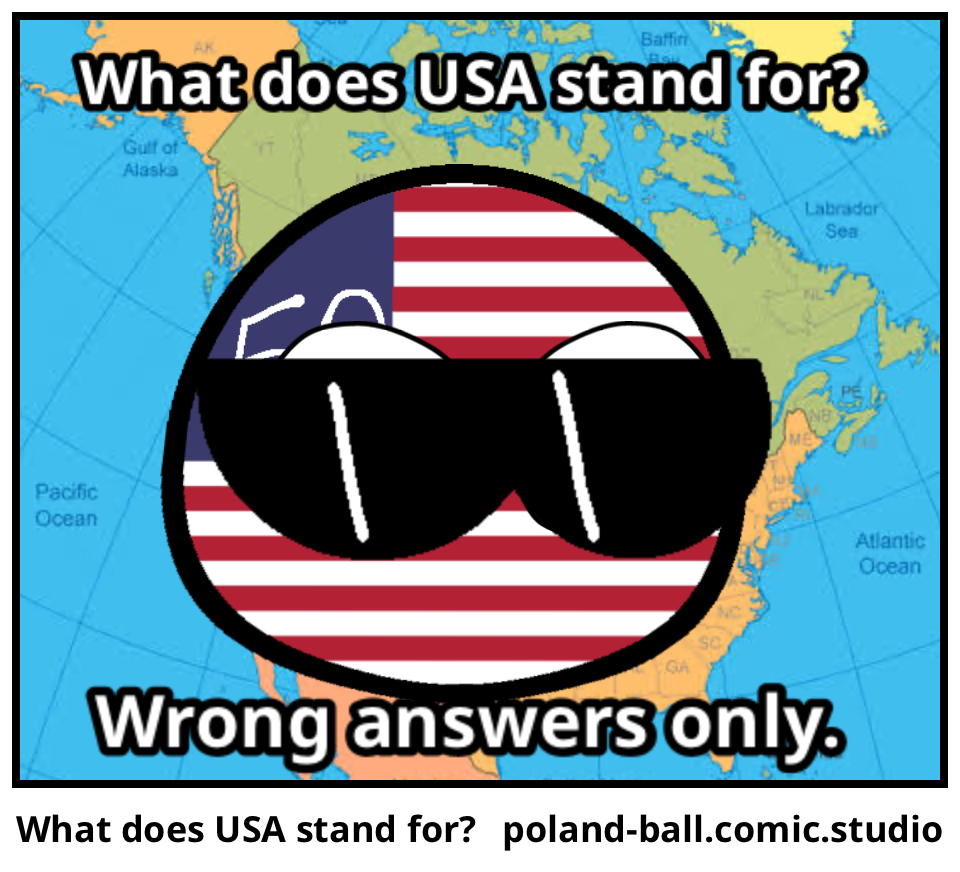 What does USA stand for?
