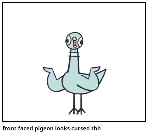 front faced pigeon looks cursed tbh
