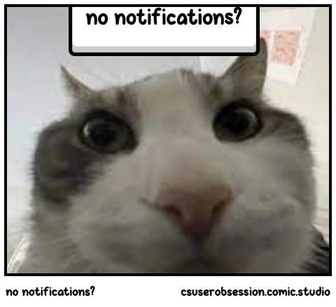 no notifications?